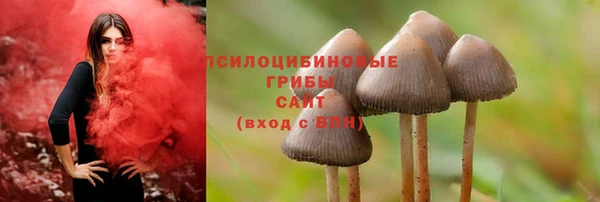 MDMA Кукмор