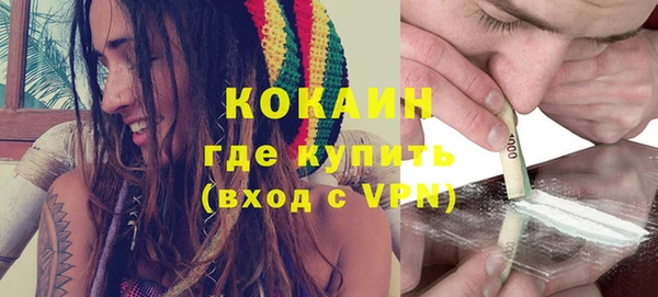 ГАЛЛЮЦИНОГЕННЫЕ ГРИБЫ Семёнов