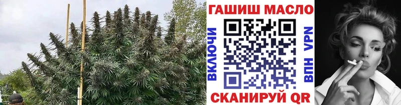 kraken как войти магазин наркотиков Кондопога ТГК вейп с тгк