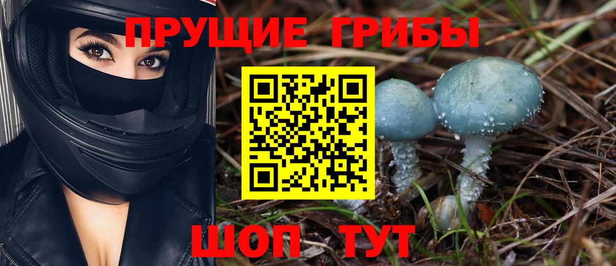 Кондопога  наркота  Вход с VPN  Галлюциногенные грибы GOLDEN TEACHER 