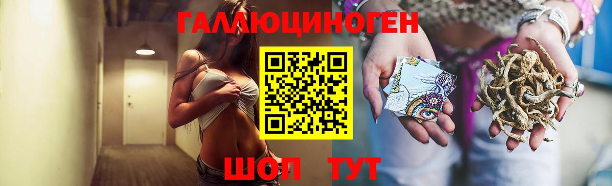 Псилоцибиновые грибы ЛСД Кондопога