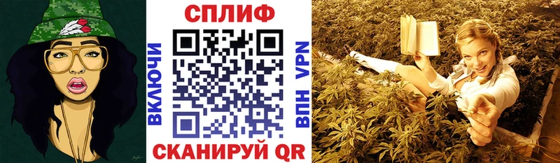 Каннабис OG Kush Кондопога